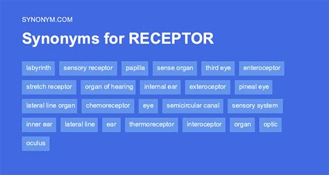 another word for receptors.